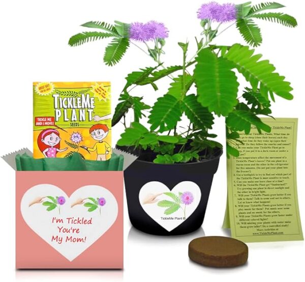 Mother's Day or Birthday Gift for Mom  Grow The Plant