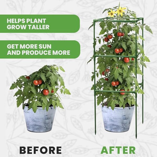 Tomato Cage Square - Large Trellis Stakes and Plant Support Structures for Vegetables and Climbing - Image 2