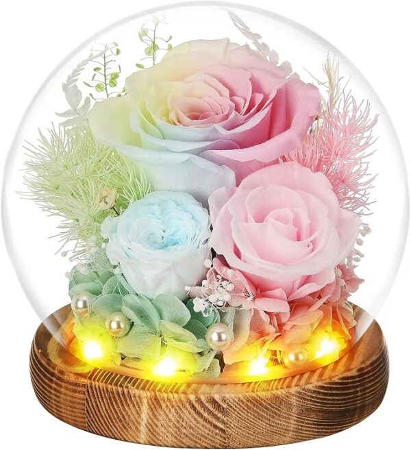Roses Gifts for Her, Rose in Glass Dome with LED Light - Gifts for Women Mom Grandma Her